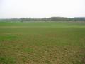 #2: View to the South