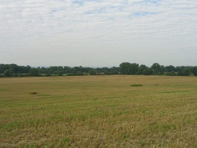 View south / Blick nach Süden