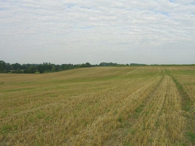 View east / Blick nach Osten