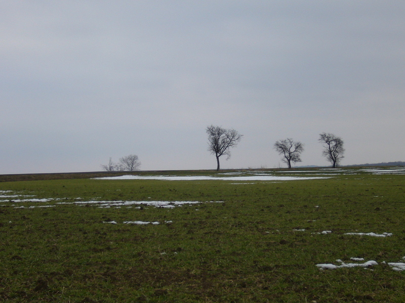 General view of the confluence (towards NE)