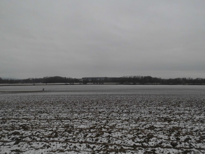 Ost/East