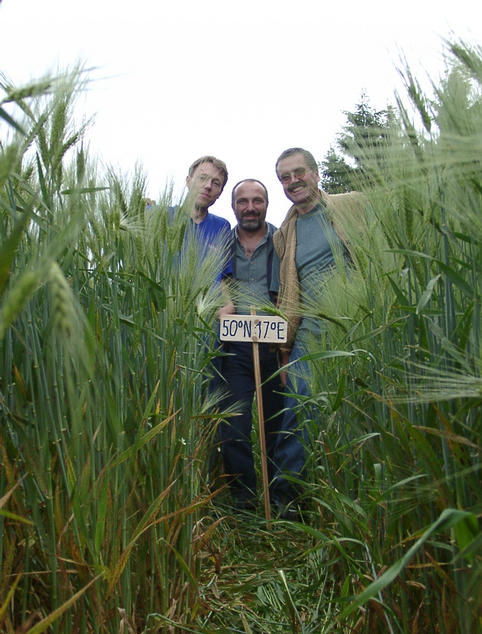 Martin, Klaus & Hans in the grain field
