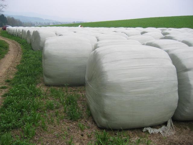 The Silage Bales