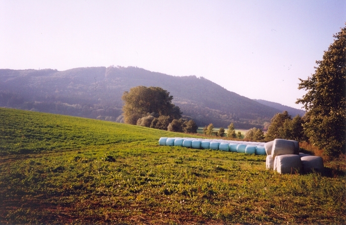 View towards SW from the confluence