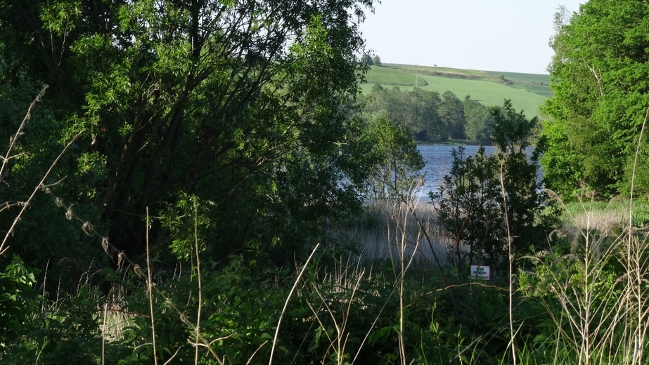 Lake Niedów