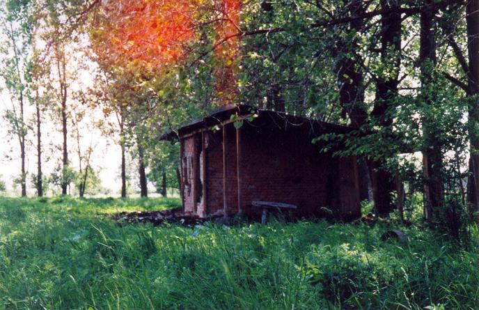 Run-down farm building (view towards SW)