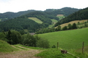#7: View of typical Blackforest landscape 100 m Northeast outside the forest