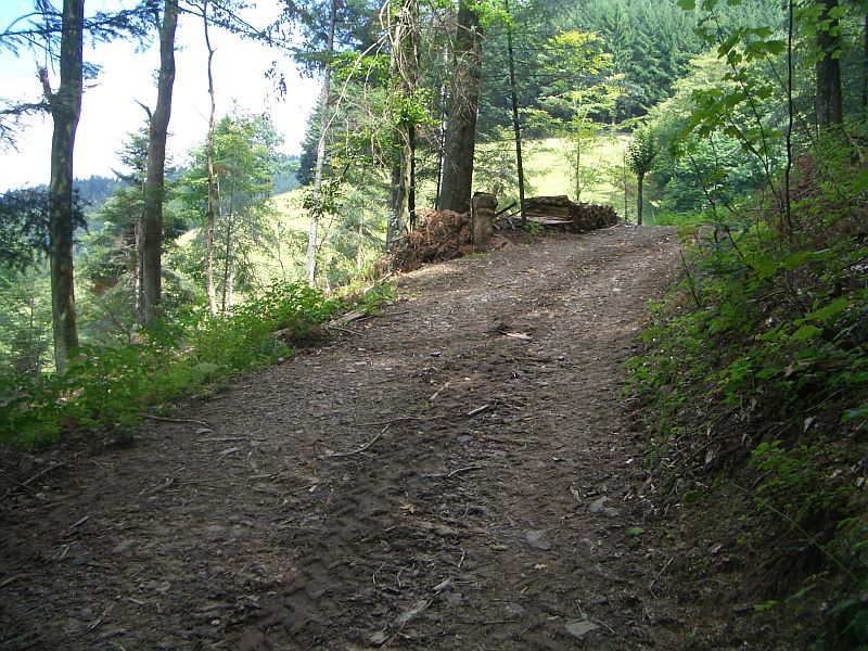 The confluence of 48° North and 8° East 