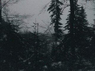 #1: North