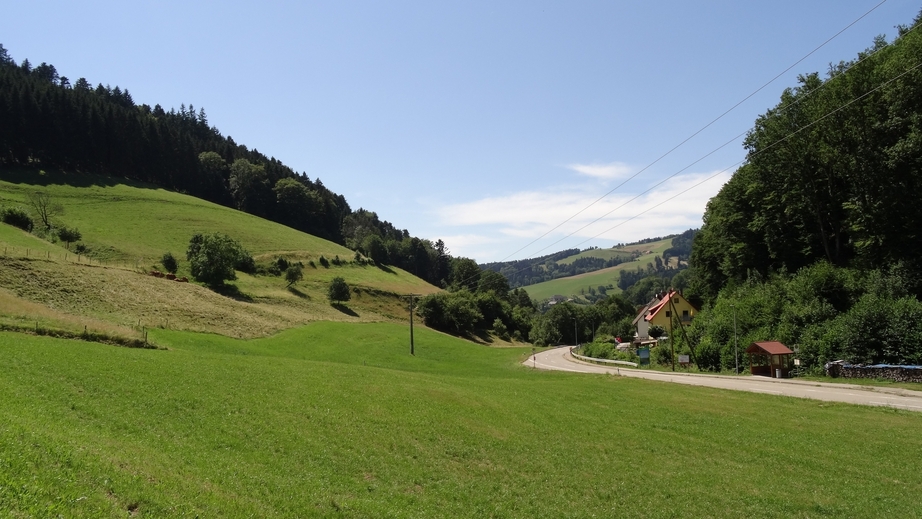 The way up from Freiburg im Breisgau