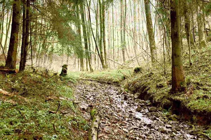 walking down the river toward the point