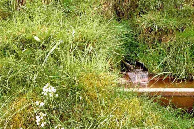One of the many wells in the area