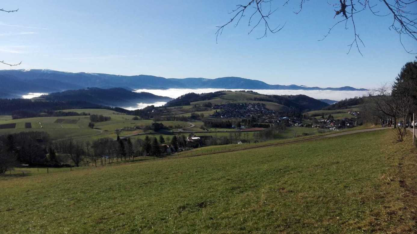 View over St. Peter and the Black Forest