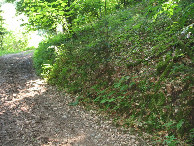 #2: Osten; view east