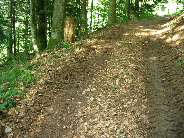 View of the Confluence