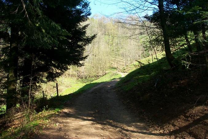 View from the confluence / Blick vom Confluence Punkt