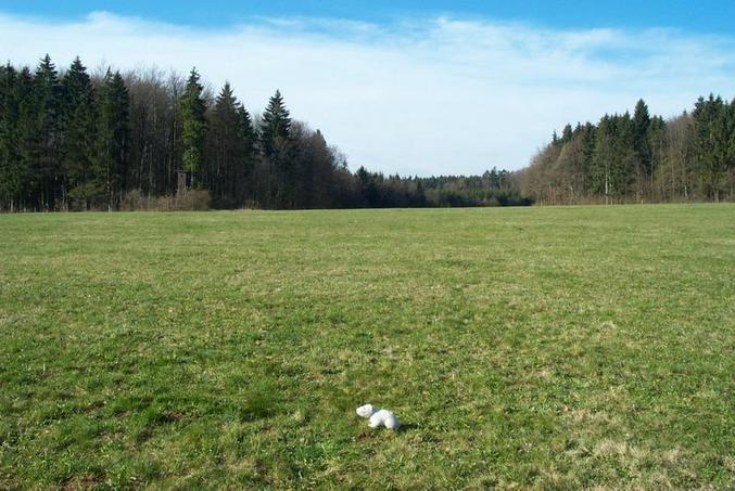 View from the confluence / Blick vom Confluence Punkt