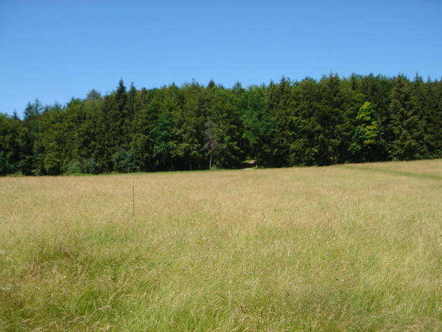 view west