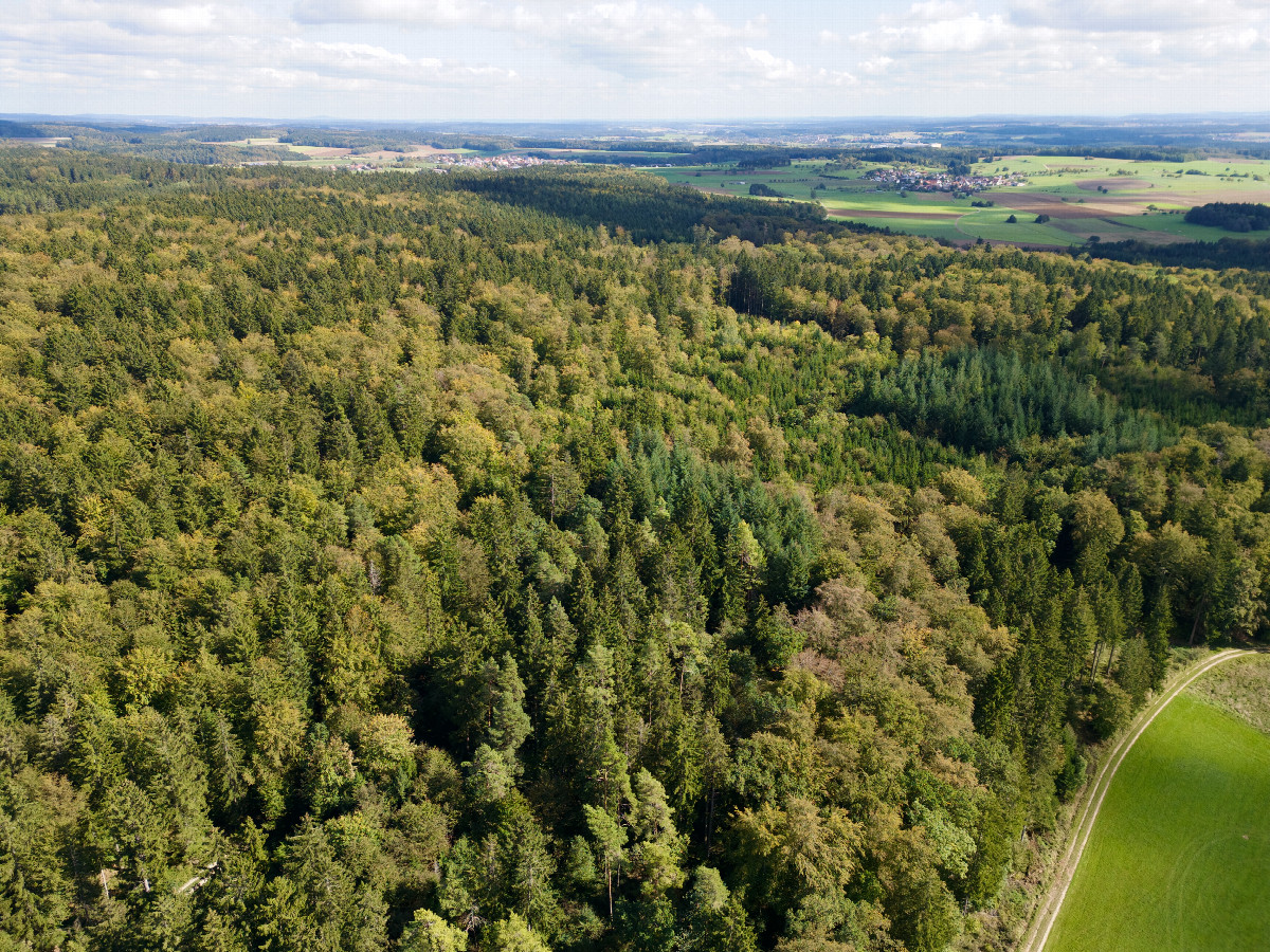 View East, from 120m above the point