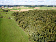 #8: View North, from 120m above the point