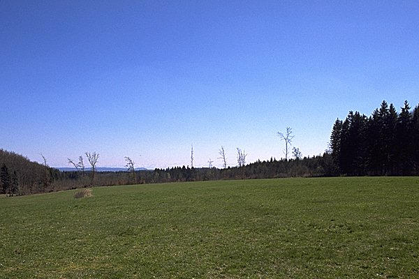 Looking south from the confluence