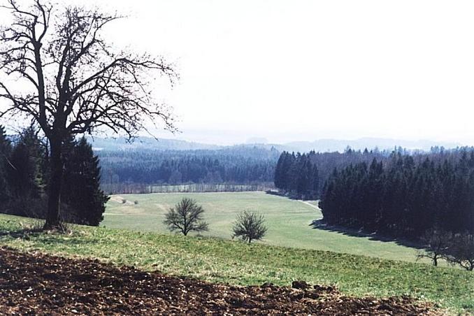 48°N9°E seen from a position 620m N, 200m W of the confluence in front of  the tiny shrubs downhill