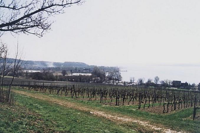 Lake Constance, Die Bodensee