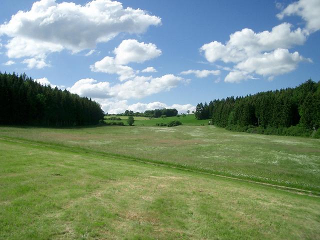 View North