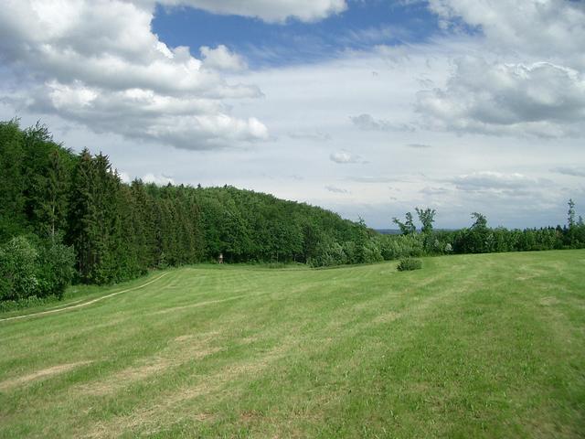 View South