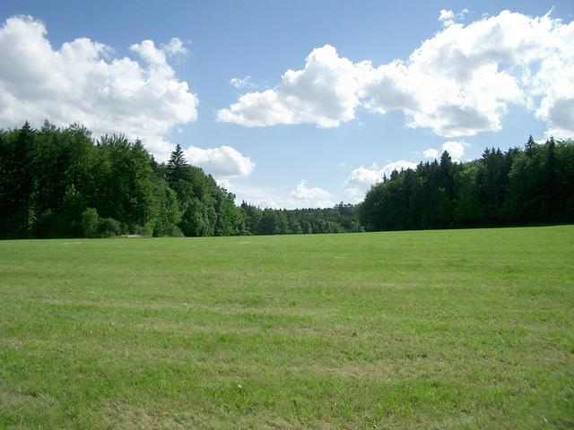 View West