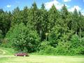 #2: View East