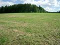 #5: View of the Confluence