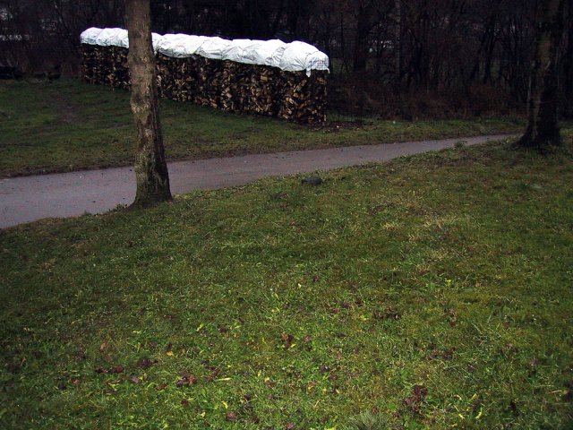 The Confluence Point - By the Left Tree