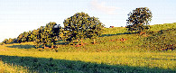 #11: schönes Landschaft bei schöner Wetterlage