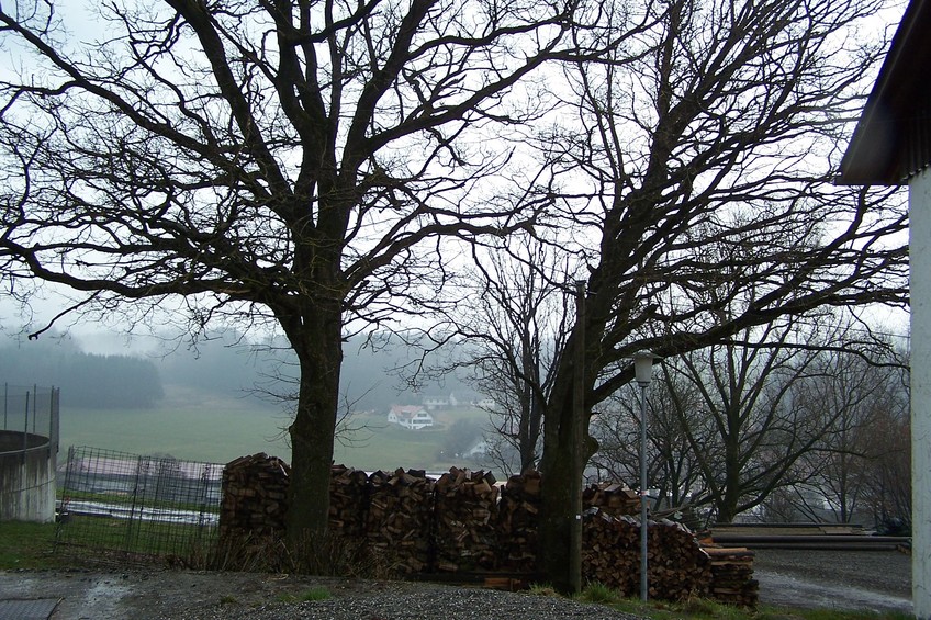 View towards E from the confluence