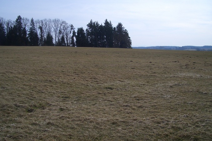 View to the South