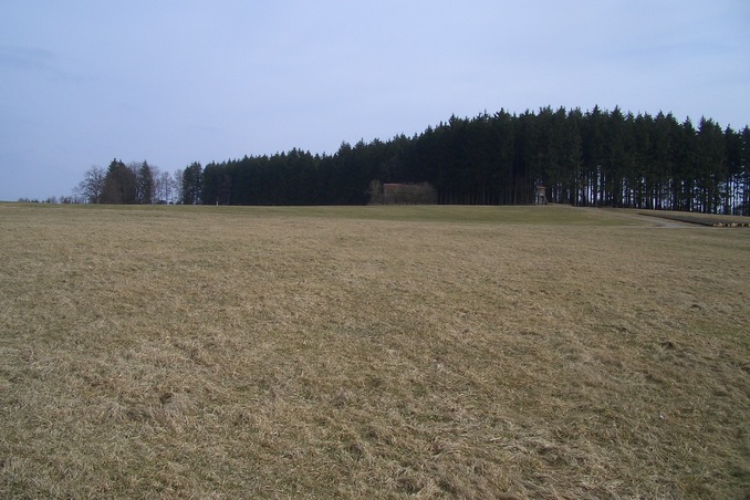 View to the East