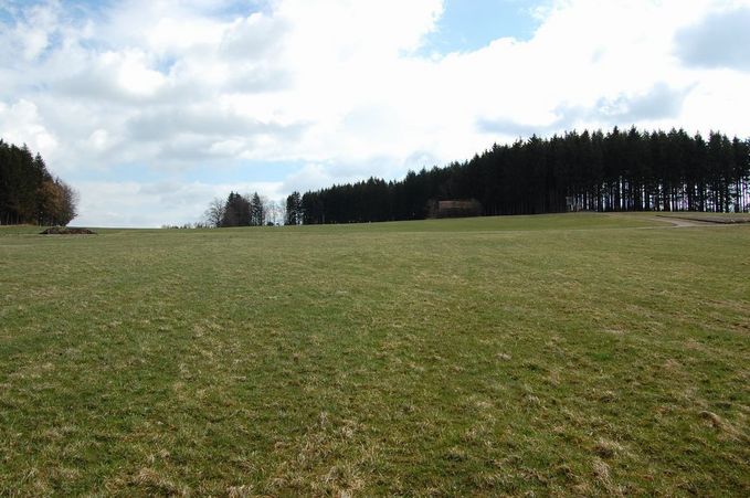 view east