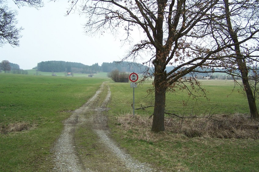 View towards the confluence (NE), ca. 1 km away