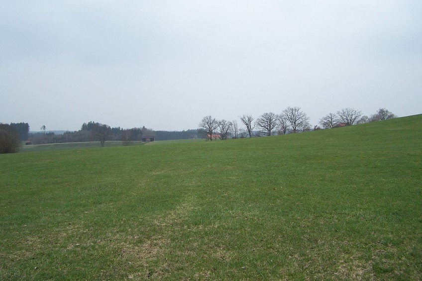 View towards W from the confluence