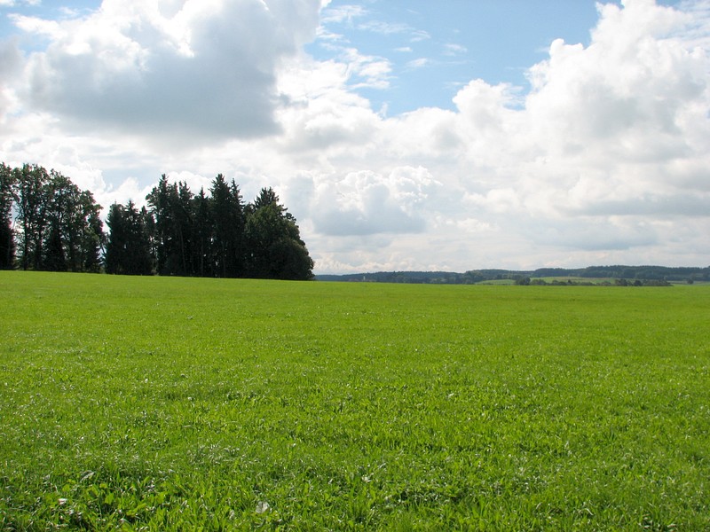 View toward South