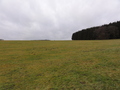 #3: North View