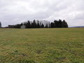 #4: South View