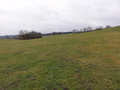 #5: West view