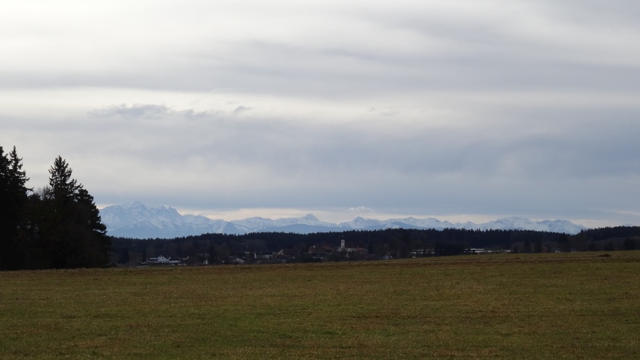 Alps in the background