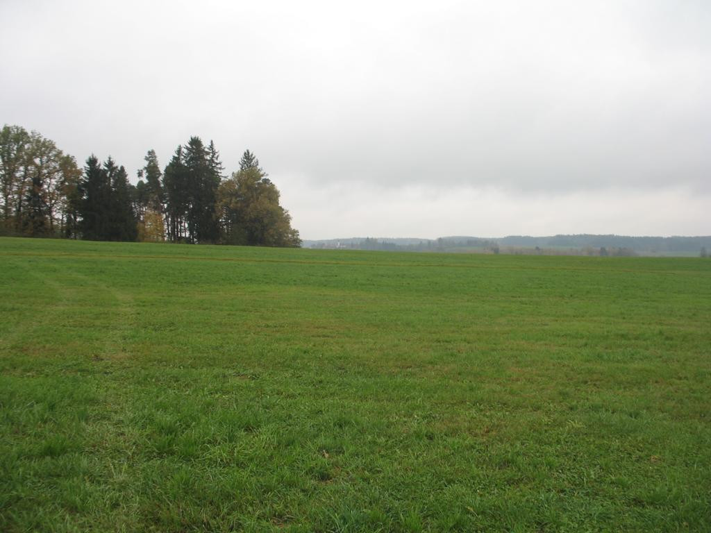 Süden; view south