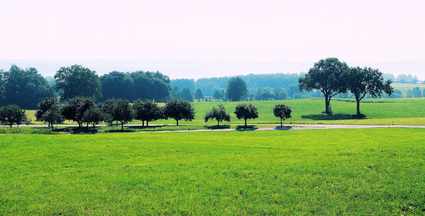 Schöne Landschaft