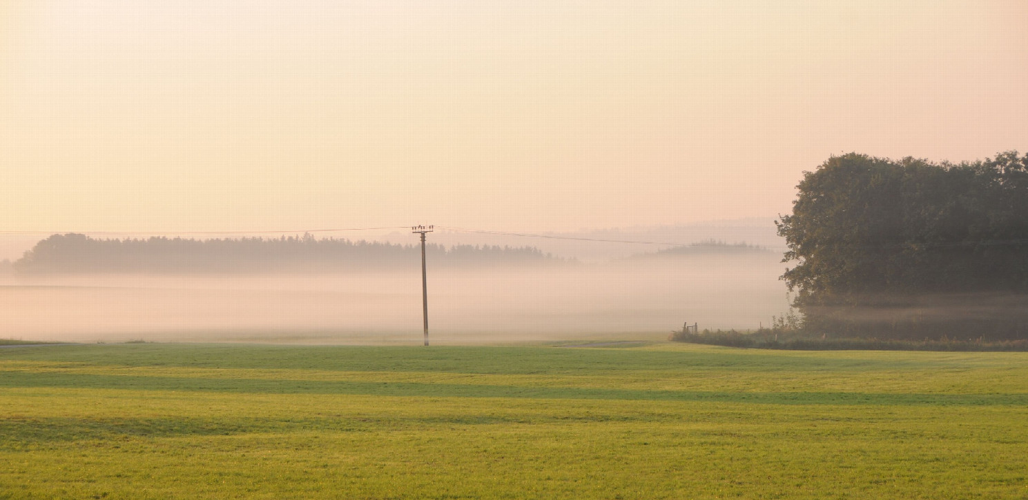 Der frühe Vogel fängt den Konfluenzpunkt