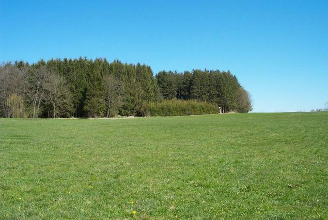 View from the confluence / Blick vom Confluence Punkt