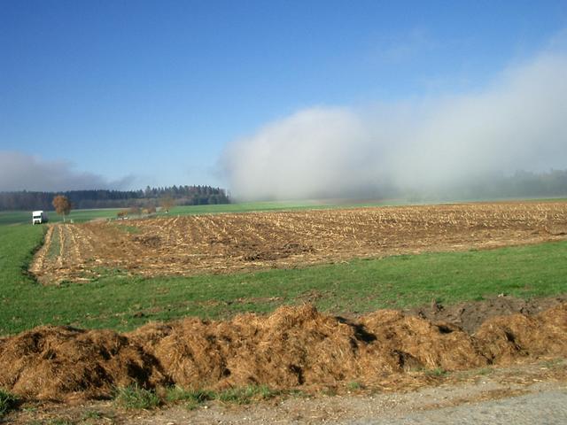 West of Hofstetten: Low lying clouds